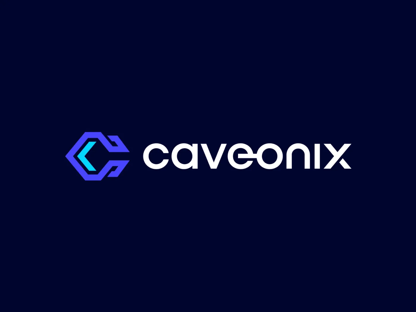 Caveonix — interface shot 3